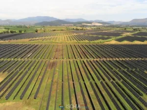 Ischia News ed Eventi - DOPPIO POLO ORTOFRUTTICOLO TRA LAZIO E PUGLIA: 10 MILIONI PER RILANCIARE L’INDUSTRIA DEL SURGELATO