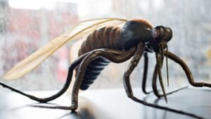 Aumento dei casi di West Nile in Italia: da 173 a 275 secondo l'Iss