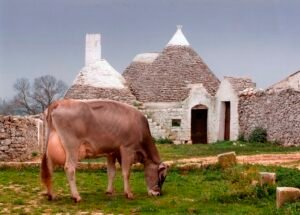 Csr Puglia 2023-2027: nuove opportunità e investimenti produttivi