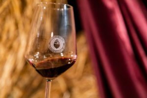 Il Primitivo di Manduria accende l’estate: cultura, gusto e territorio in festa