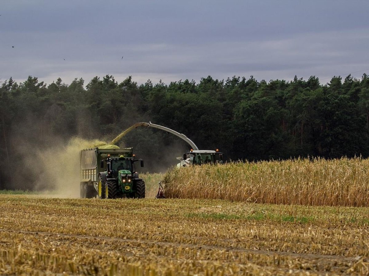 Le preoccupazioni delle imprese agricole della Bassa bresciana per il taglio della PAC: «Ci sarà più burocrazia e meno trasparenza»