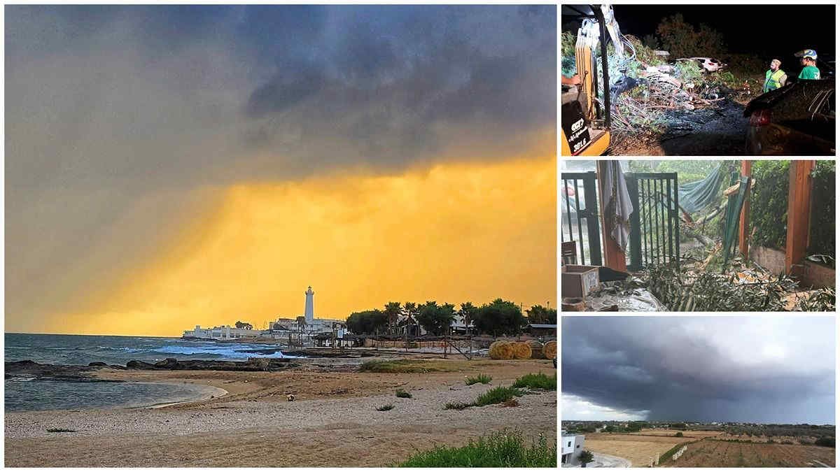 Maltempo in Puglia: raffiche di vento e tromba d'aria a Peschici sul Gargano con alberi caduti e disagi