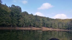 Trekking in Puglia: esperienza nella Foresta Umbra