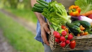 Agricoltura biologica in Puglia: 311mila ettari di coltivazioni e il 20% dei consumatori acquista prodotti naturali.