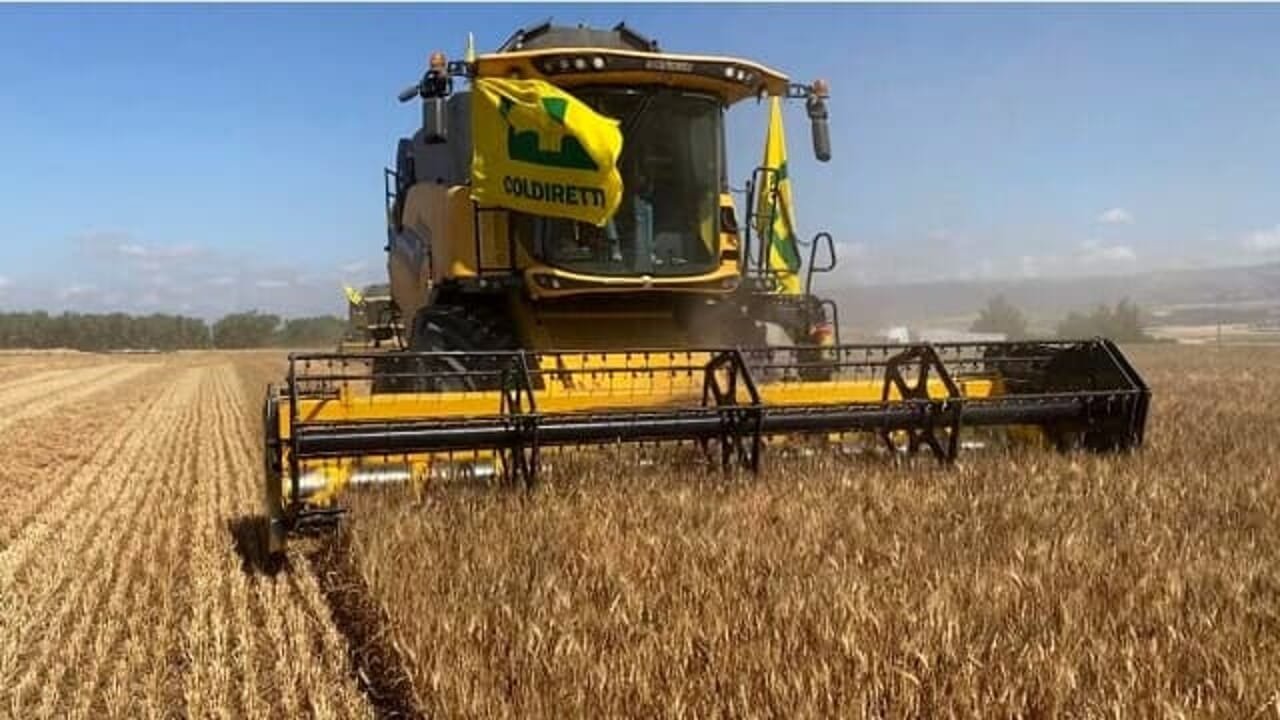 Crisi cerealicola: la Puglia scende in piazza venerdì 26 settembre per difendere il grano locale