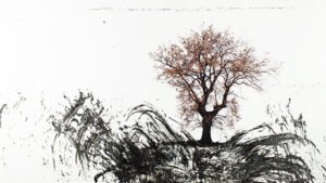 Lucera Capitale della Cultura di Puglia 2025: appuntamento con la mostra 'Alchimie della Daunia'