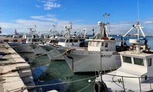 Economia blu e comunità costiere: la Regione Puglia firma una convenzione con i GAL Pesca