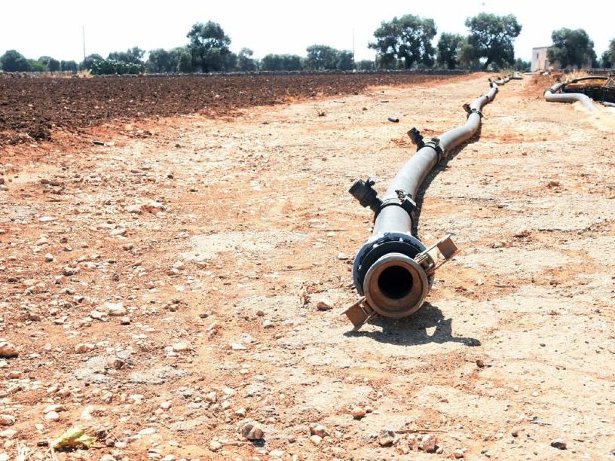 Emergenza idrica in Puglia: invasi a secco, coltivazioni a rischio e allarme per il foraggio. Gli agricoltori abbandonano i campi.