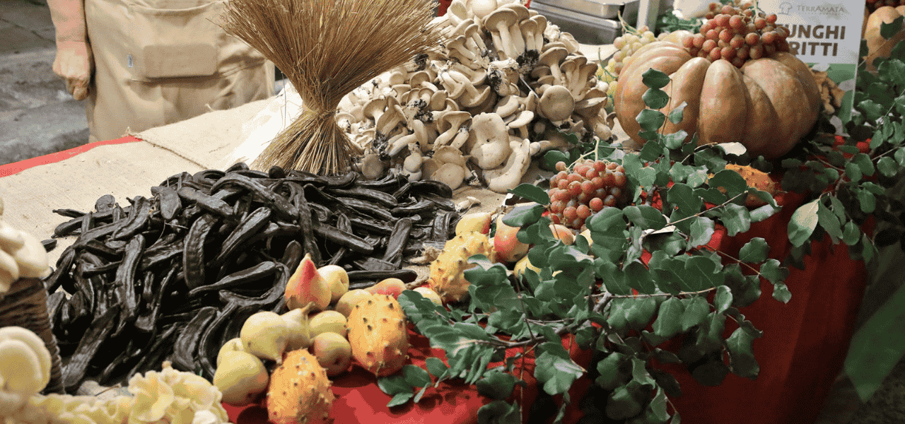Festa d'Autunno a Castellana Grotte: scopri i sapori locali