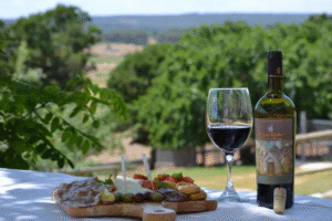 Il vino come esperienza immersiva: degustazioni autunnali in Puglia tra vigne e racconti di famiglia