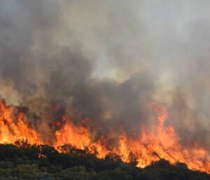 Legambiente: bollino rosso per le foreste italiane, Puglia terza con 114 incendi