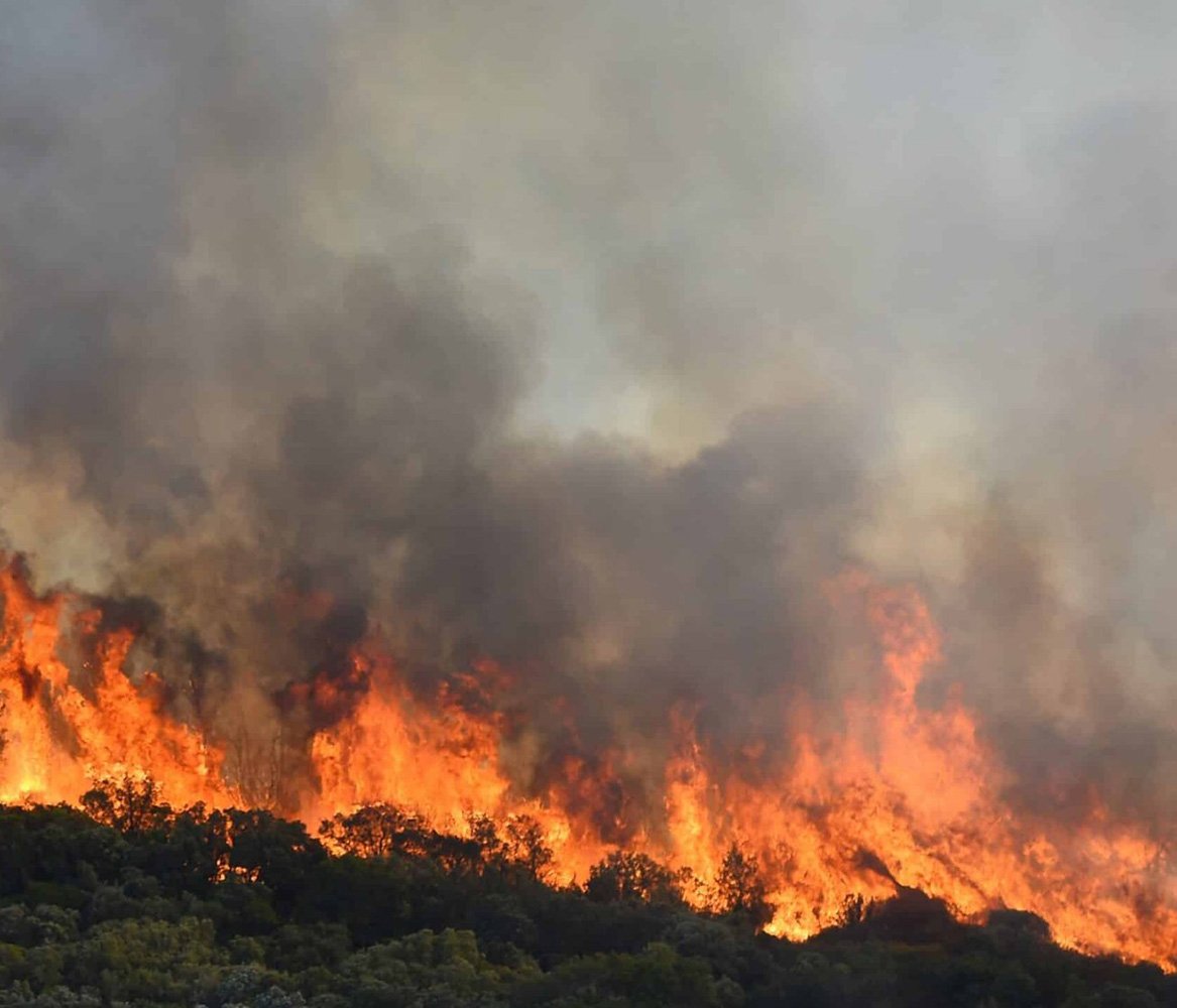 Legambiente: bollino rosso per le foreste italiane, Puglia terza con 114 incendi