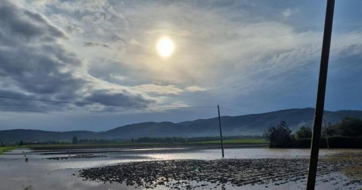 Maltempo e freddo polare: venti gelidi sul centro-sud, un morto in Puglia ritrovato.