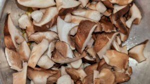 Sagra on the road in Puglia per celebrare il fungo cardoncello per 12 giorni