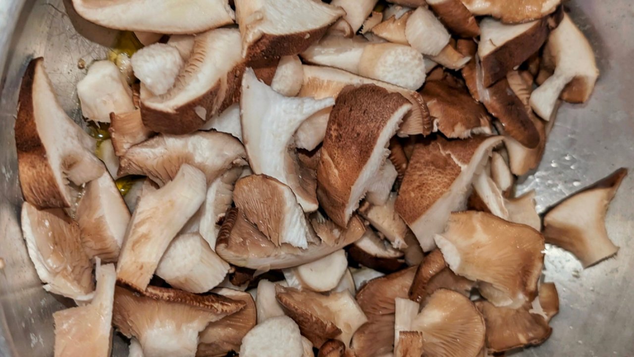 Sagra on the road in Puglia per celebrare il fungo cardoncello per 12 giorni
