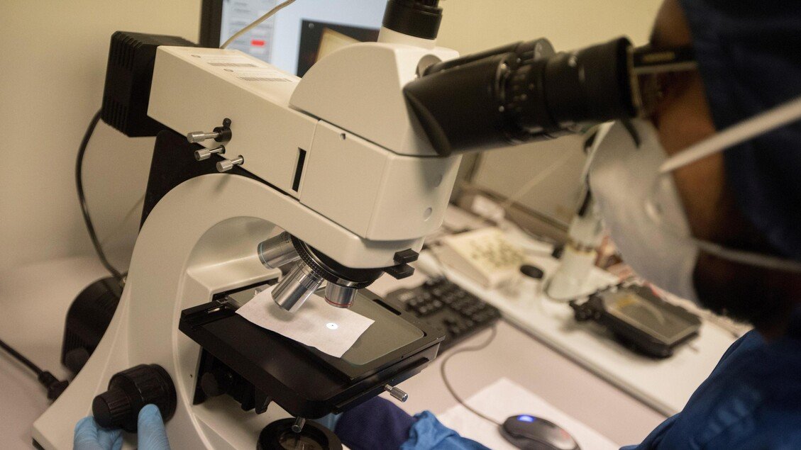 Bando Telethon-Cariplo: finanziati 26 progetti per 3,6 milioni di euro