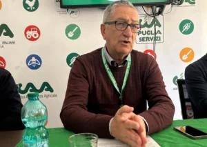 Crisi del grano duro: “La Puglia danneggiata da chi delegittima la CUN”