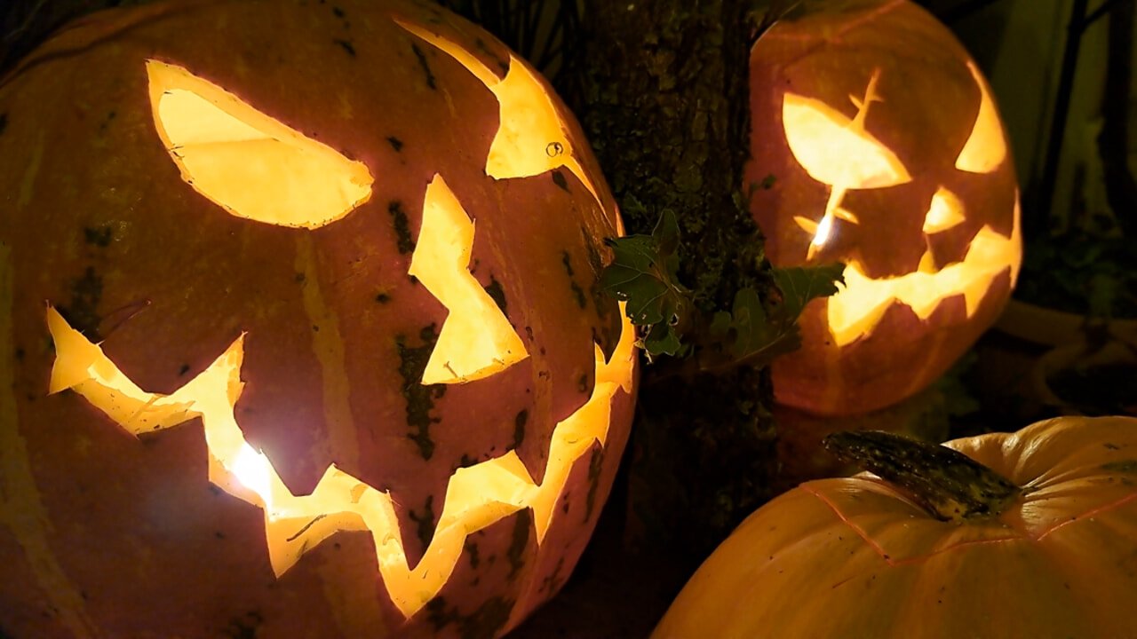 Fine settimana in Capitanata: eventi di sabato 1 e domenica 2 novembre