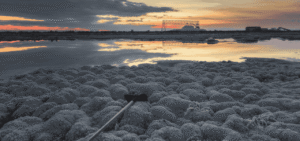 Giornate FAI per le Scuole: alla scoperta della Puglia con gli apprendisti ciceroni