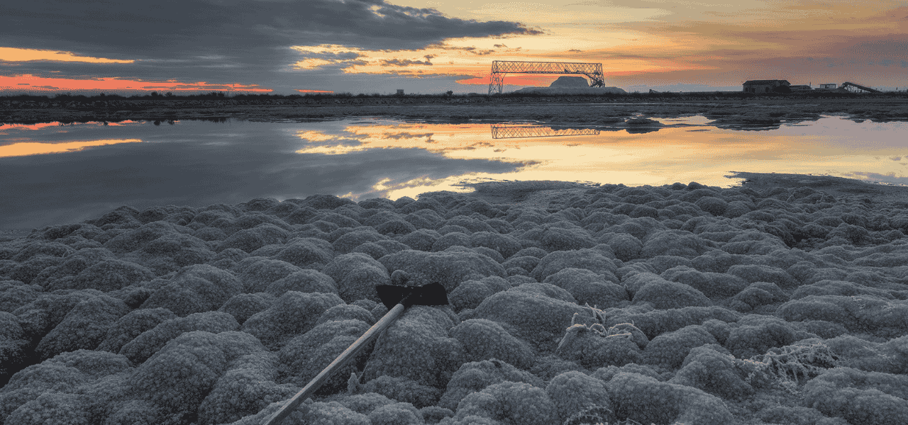 Giornate FAI per le Scuole: alla scoperta della Puglia con gli apprendisti ciceroni