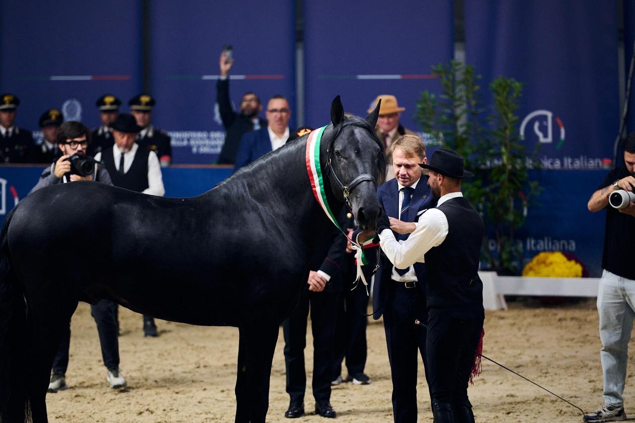Il Centenario del Cavallo Murgese parla pugliese: la comunicazione dell’evento firmata da Donne & Cavalli e Daruma ADV