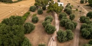 Puglia: capitale del trail running con UTMB