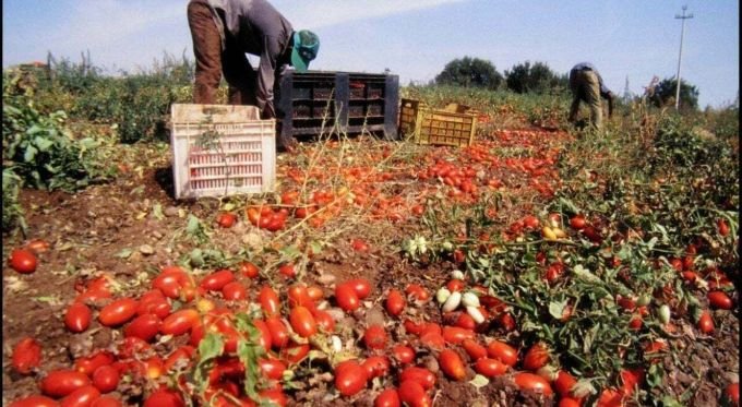Puglia: ghetti agricoli trascurati, solo il 10% dei fondi Pnrr sarà speso.