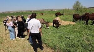 Stalle aperte in Puglia: visite guidate e degustazioni