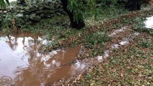 Autunno con 31 eventi atmosferici estremi in Puglia: gli agricoltori chiedono sostegno economico per i danni alle coltivazioni.