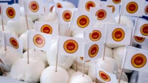 Bufala Dop: 2025 stabile per l'oro bianco, spinta all'export