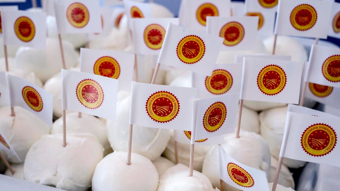 Bufala Dop: 2025 stabile per l'oro bianco, spinta all'export