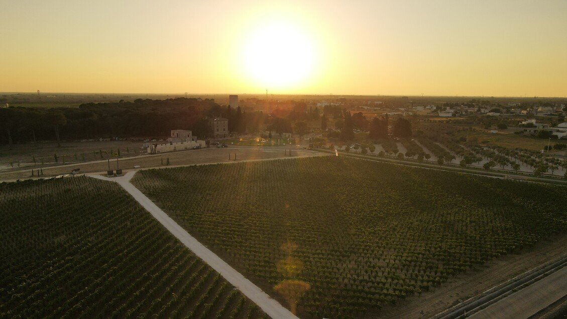 Famiglia nel bosco: cooperativa salentina offre casa immersa nella natura