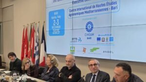 Gaza deve essere aperta alla stampa internazionale: riunione Ifj a Bari