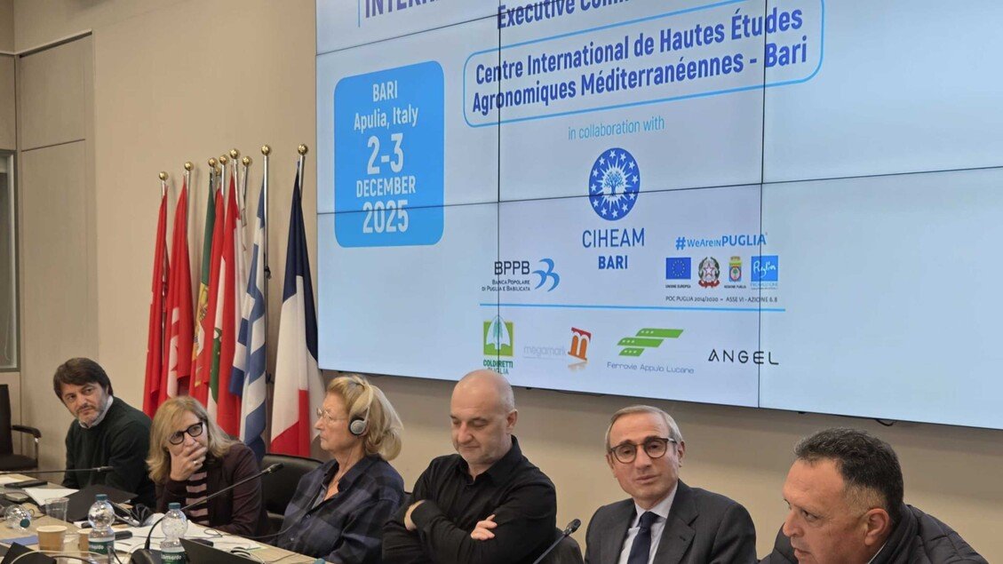 Gaza deve essere aperta alla stampa internazionale: riunione Ifj a Bari