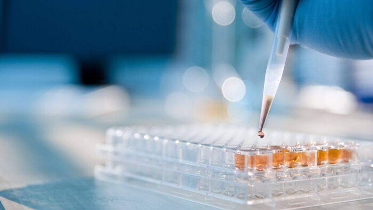 Genoma Puglia: il Brasile richiede una collaborazione ufficiale con la Regione, riconoscendo il modello come standard internazionale d’avanguardia.