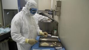 Identificato un potenziale bersaglio terapeutico per il tumore del colon-retto