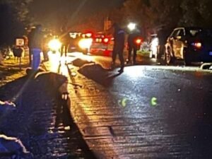 Strage di pecore a Ruvo: un gregge invade la provinciale per Corato e viene travolto dalle auto, causando la morte di dodici ovini.