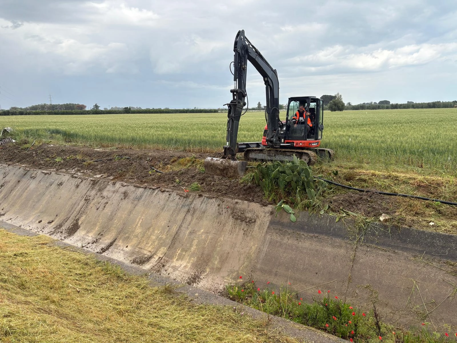 Tributo 630: "La soluzione è la rottamazione delle cartelle, non la sospensione"