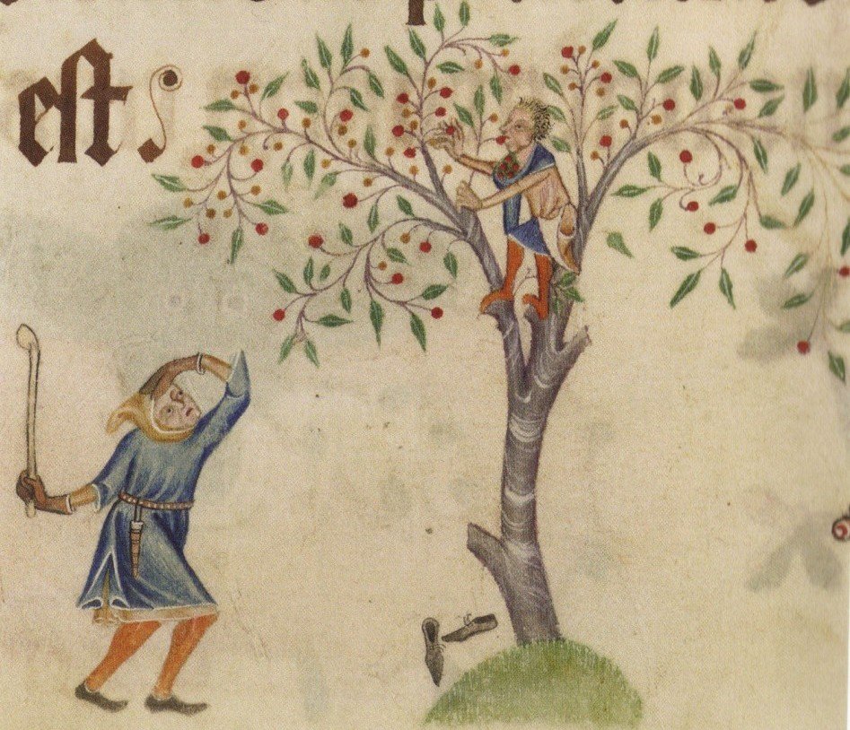 Uomini e alberi nell’Europa medievale