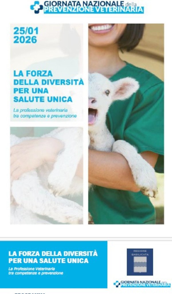 Locandina Basilicata