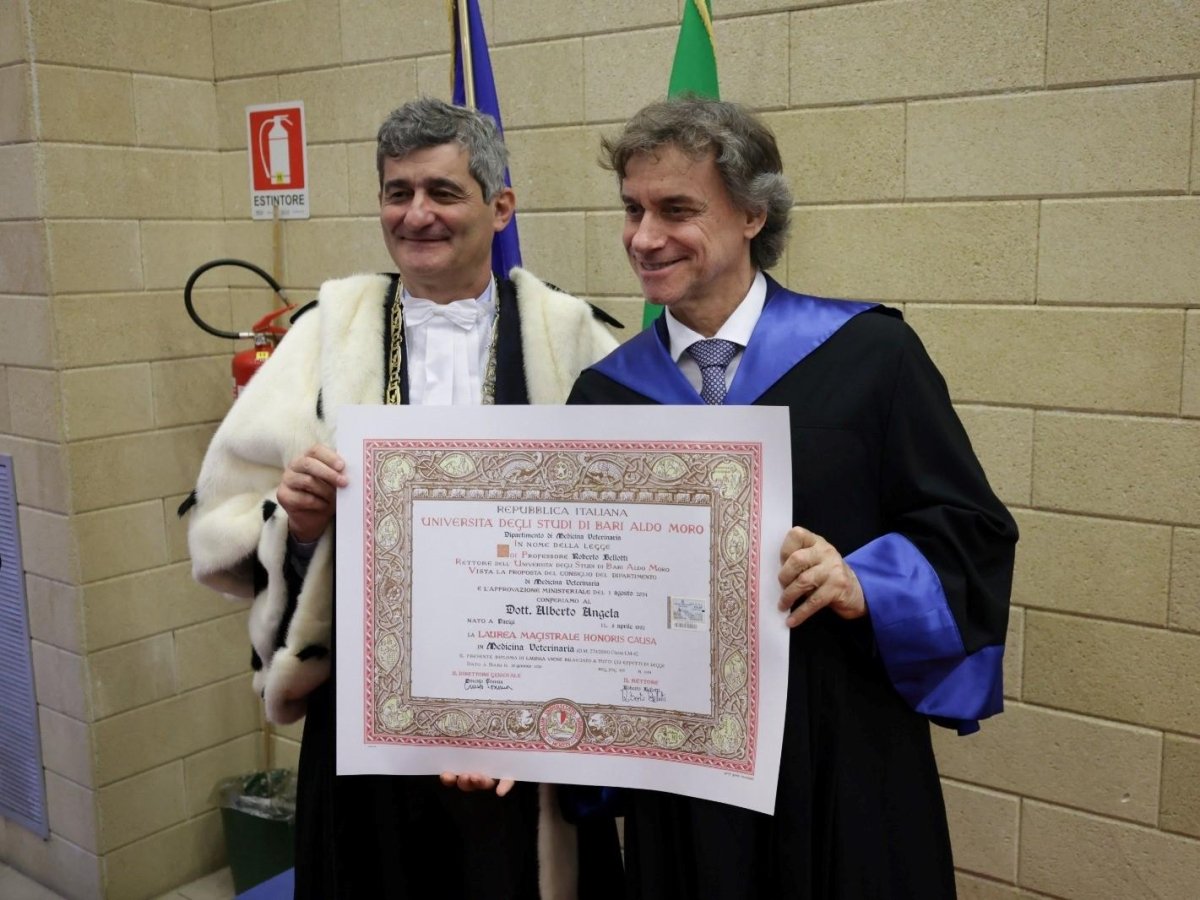 Alberto Angela riceve la laurea honoris causa in Veterinaria dall'Università di Bari: «Emozionato, è come una medaglia olimpica»