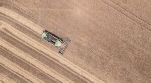 Granoro potenzia il suo impegno per la sostenibilità e la filiera pugliese