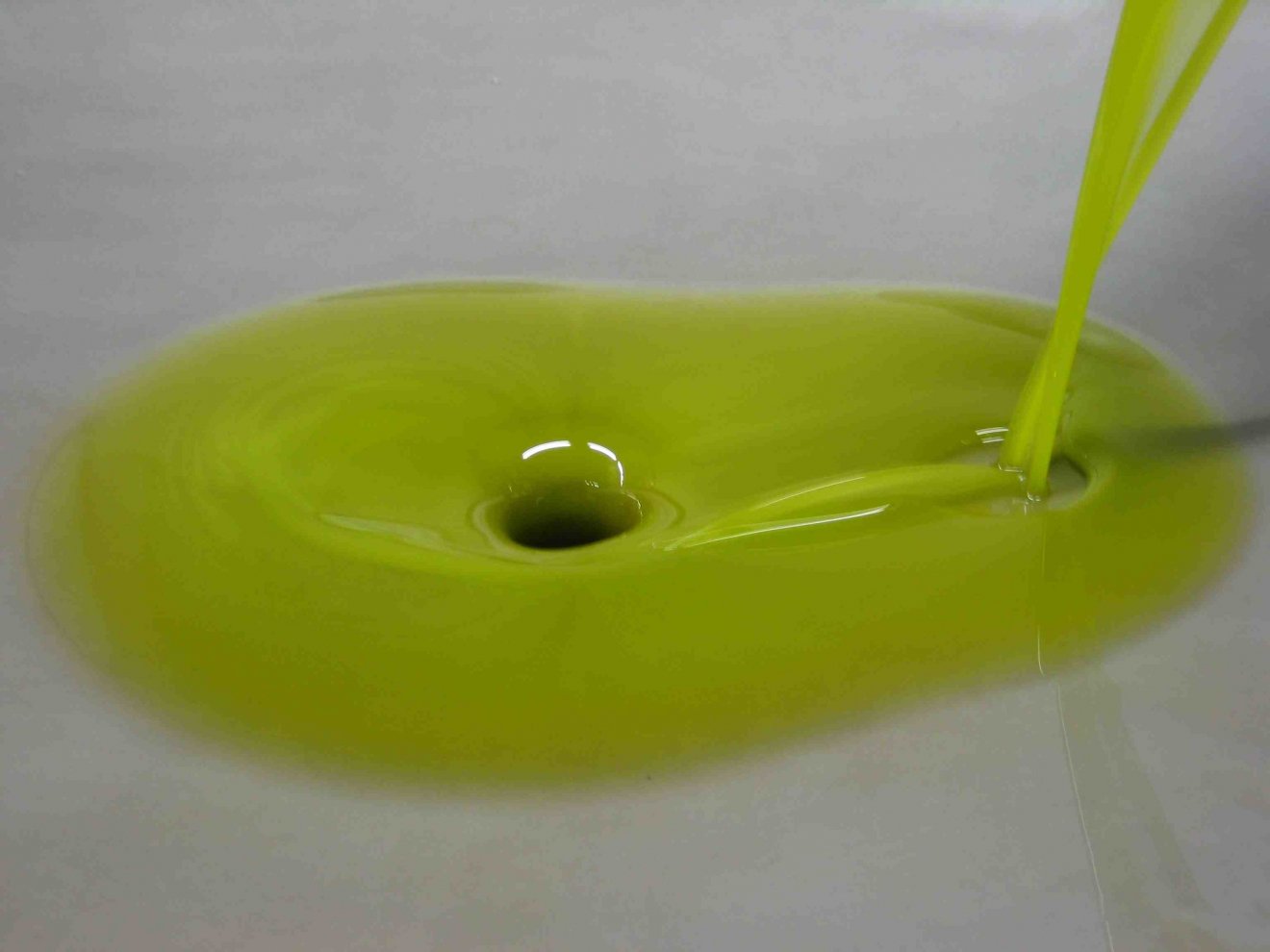 Il prezzo dell'olio di oliva al 21 novembre: ribassi in Puglia sotto i 7 euro/kg e stabilità per l'extravergine in Sicilia sopra i 9 euro/kg