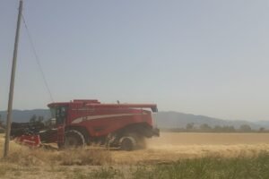 La siccità imperversa in Puglia, ma la neve…