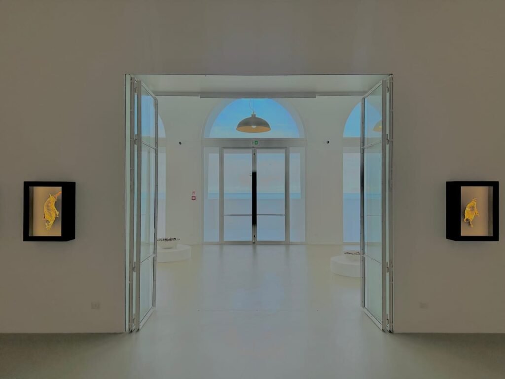 L’accessibilità culturale nei musei è ancora un miraggio?