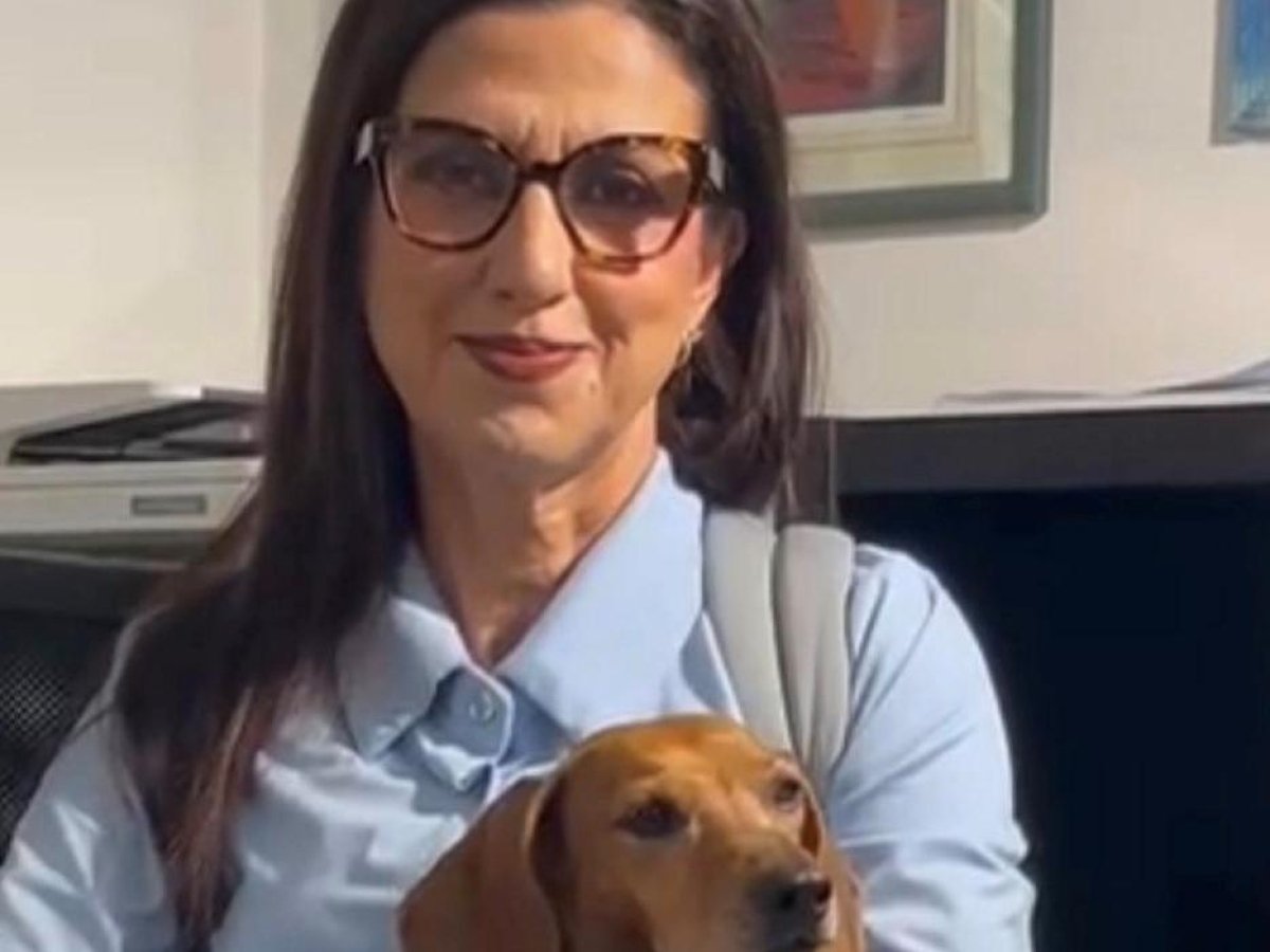 Laurea in veterinaria, studi in psicologia e la svolta con la criminologia: chi è Antonella Delfino Pesce, l'esperta barese che ha riaperto il caso di Nada Cella.