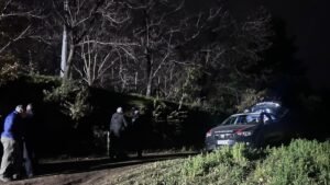 Messina, il mistero dei tre cacciatori trovati morti nei boschi dei Nebrodi: colpiti da fucilate