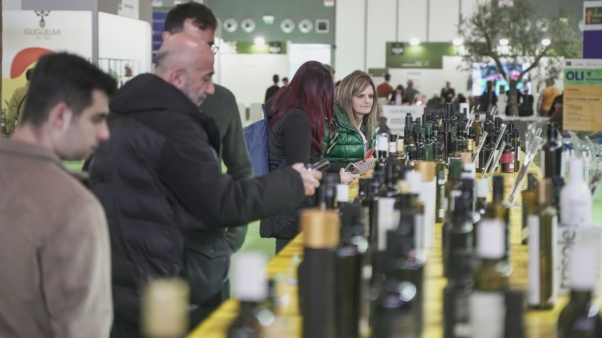 Premio Ercole Olivario: 14 etichette pugliesi selezionate per la finale di Evolio Expo