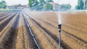 Acqua e sicurezza: fondi per Ugento, Cutrofiano e Gallipoli nel maxi-piano da 180 milioni