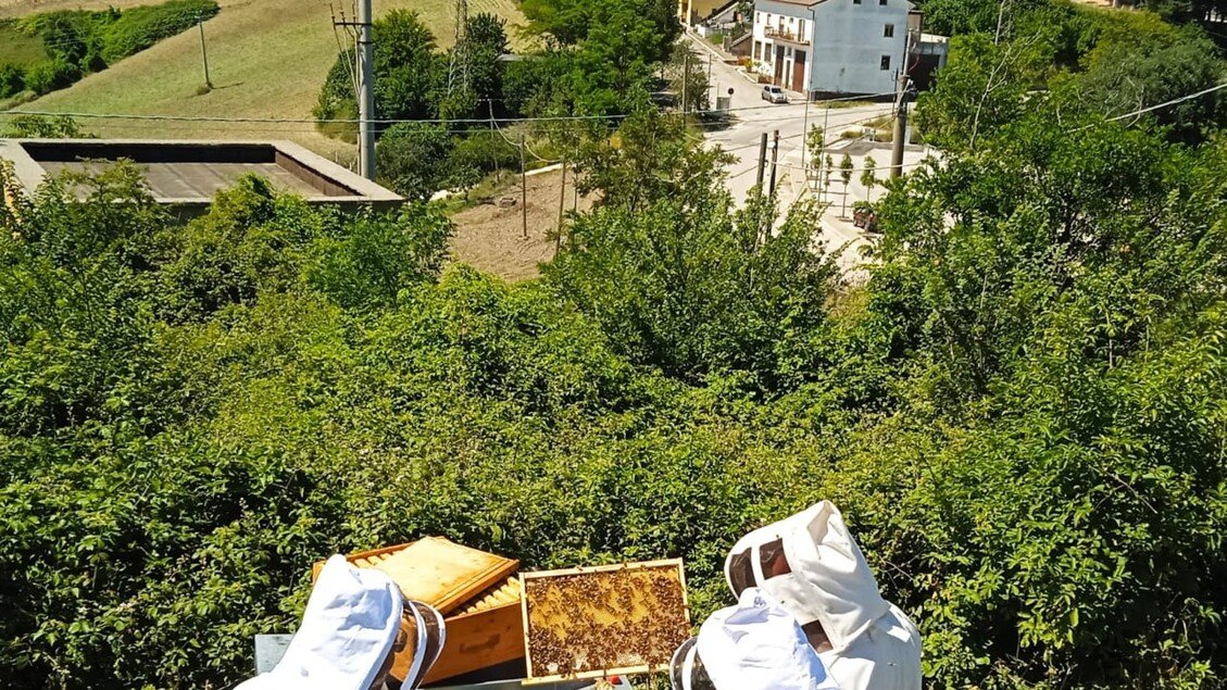 Ecco Volio, il miele dell'inclusione sociale prodotto a San Marco La Catola